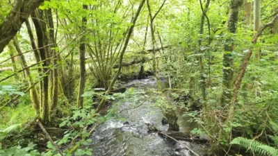 Chalet in Cedeira photo 35