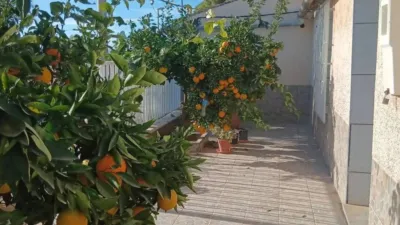 Chalet in Murcia Capital photo 3
