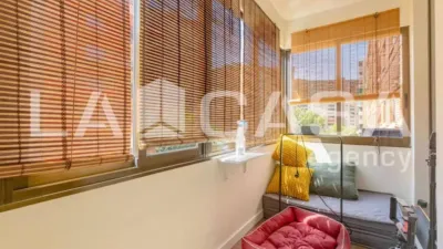 Apartment in Nou Moles photo 29