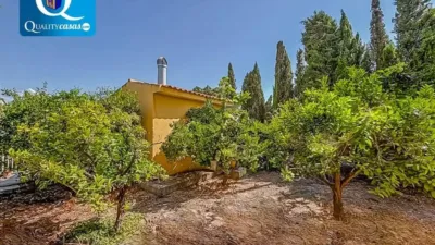 Chalet en Agost photo 23
