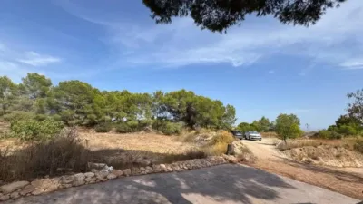 Rustic house in Murcia Capital photo 10