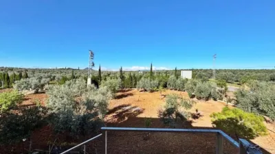 Chalet in Casariche photo 16