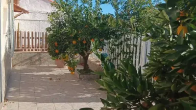 Chalet in Murcia Capital photo 4