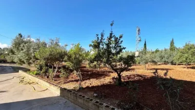 Chalet in Casariche photo 8