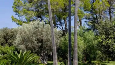Chalet in Pollença photo 21