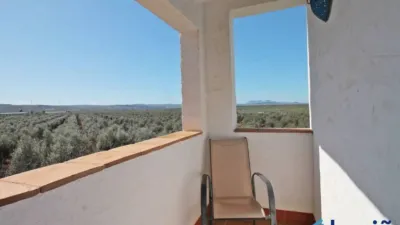 Rustic property in Martín de La Jara photo 52