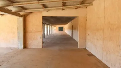 Chalet in Alaró photo 20