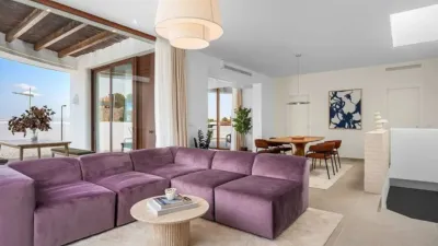 Chalet in Algorfa photo 20