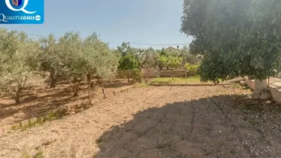 Chalet in Sant Vicent del Raspeig - San Vicente del Raspeig photo 3