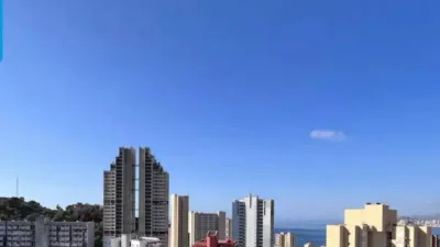 Apartment in Benidorm photo 15