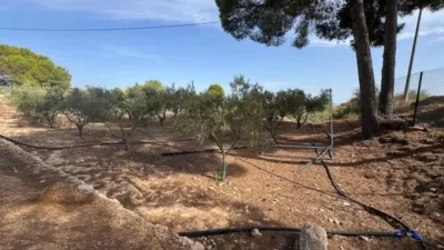 Rustic house in Murcia Capital photo 18