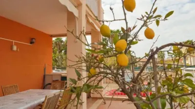 Apartment in Platja d'Alcúdia-Port d'Alcudia photo 11