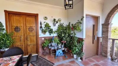 Chalet in Casariche photo 19