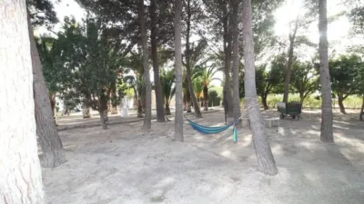 Chalet in Elda photo 14