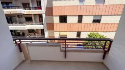 Apartment in Pollença photo 41