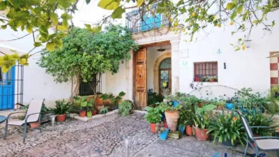 Rustic property in Martín de La Jara photo 8