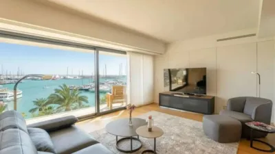 Apartment in Platja d'Alcúdia-Port d'Alcúdia photo 5