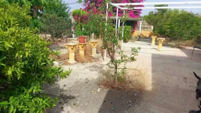 Chalet in Murcia Capital photo 3