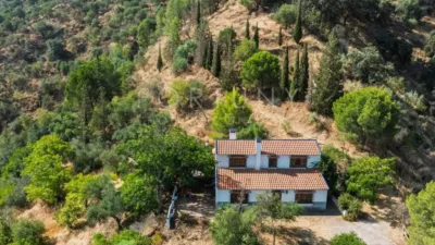 Rustic House in Ardales photo 15