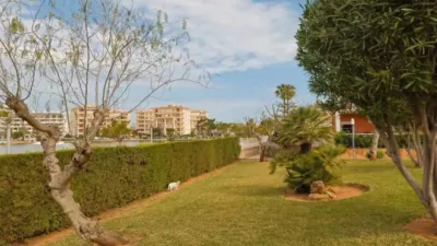 Apartment in Platja d'Alcúdia-Port d'Alcudia photo 4