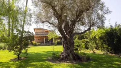 Chalet in Pollença photo 10