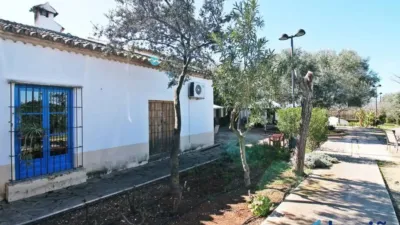 Rustic property in Martín de La Jara photo 5