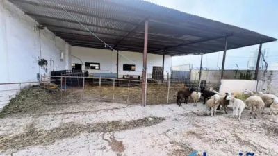 Chalet in Los Corrales photo 10