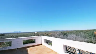 Rustic property in Martín de La Jara photo 47