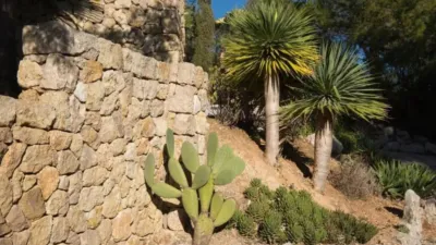 Chalet in Alaró photo 47