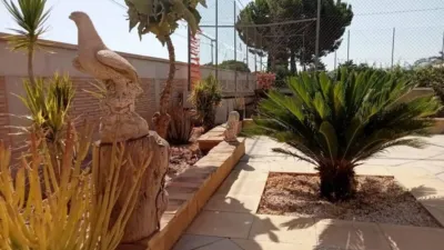 Chalet in Murcia Capital photo 12