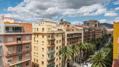 Penthouse in Alameda de Colón photo 41