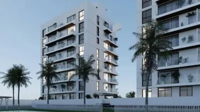 Apartment in Guardamar del Segura photo 4