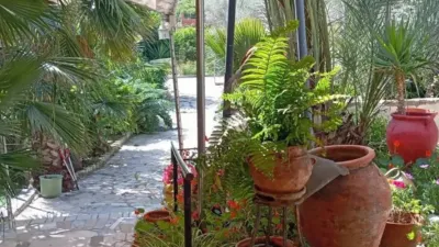 Chalet in Murcia Capital photo 3