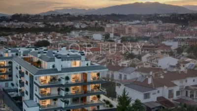 Penthouse on Calle Aliaria photo 24