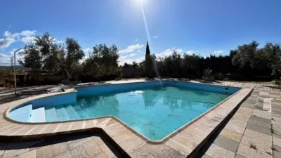 Chalet in Casariche photo 55