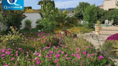 Chalet in Castalla photo 3