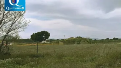 Pis - Vista 2
