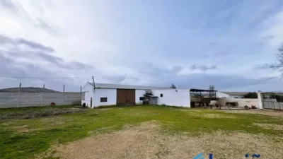 Chalet in Los Corrales photo 6