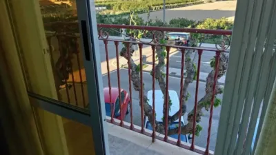 Apartment in Murcia City photo 16