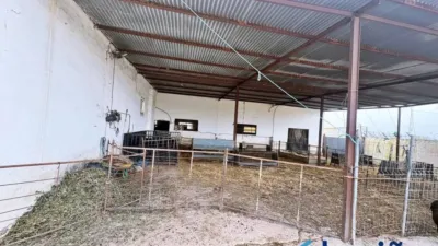 Chalet in Los Corrales photo 9