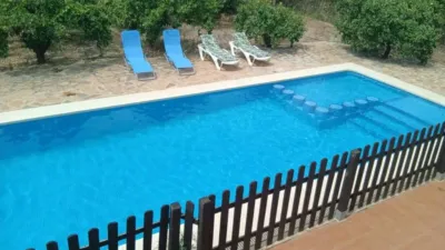 Chalet in Murcia City photo 4