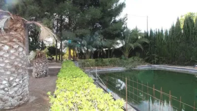 Chalet in Elda photo 15
