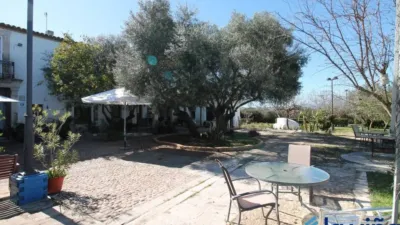 Rustic property in Martín de La Jara photo 6