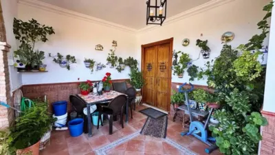 Chalet in Casariche photo 18