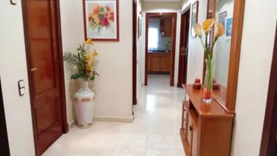Chalet in Murcia City photo 5