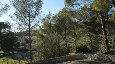 Chalet in Alaró photo 43
