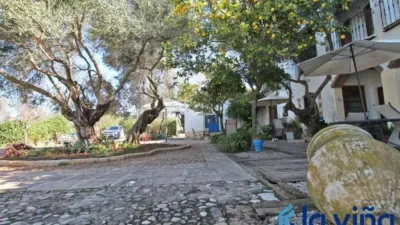 Rustic property in Martín de La Jara photo 11