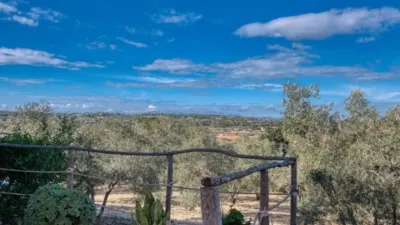 Chalet in Sineu photo 31