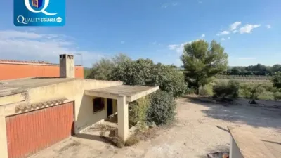 Chalet in Castalla photo 15