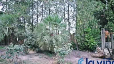 Chalet in Villanueva de Algaidas photo 26